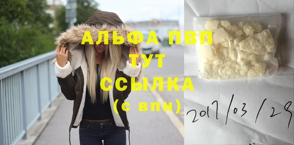 индика Белокуриха