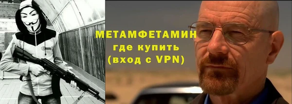 индика Белокуриха