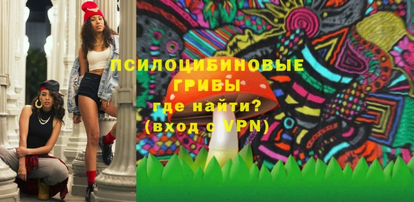 индика Белокуриха