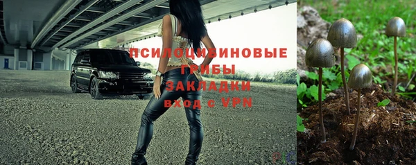 индика Белокуриха