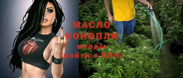 индика Белокуриха