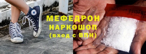 индика Белокуриха