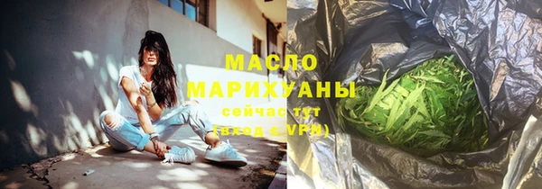 индика Белокуриха