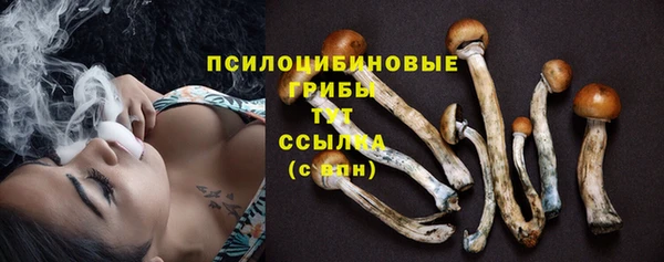 синтетический гашиш Беломорск